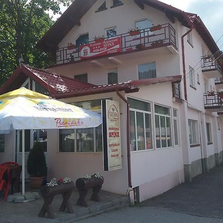 Pensiune Restaurant Sfinx Buşteni Esterno foto