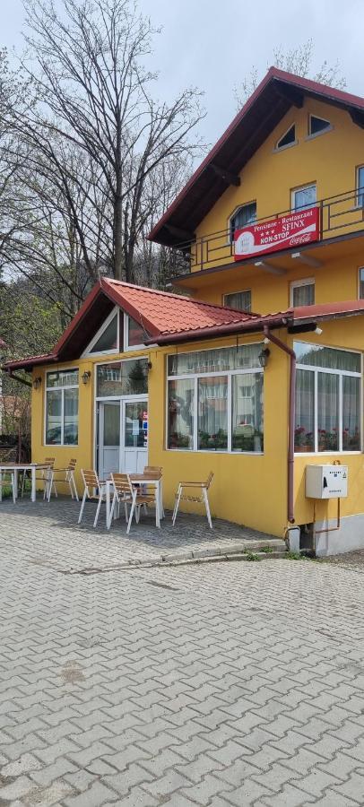 Pensiune Restaurant Sfinx Buşteni Esterno foto