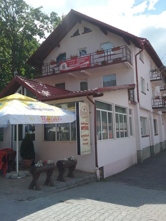 Pensiune Restaurant Sfinx Buşteni Esterno foto